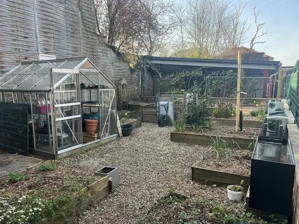 Le potager et la serre du collège, installés dans une cour intérieure.