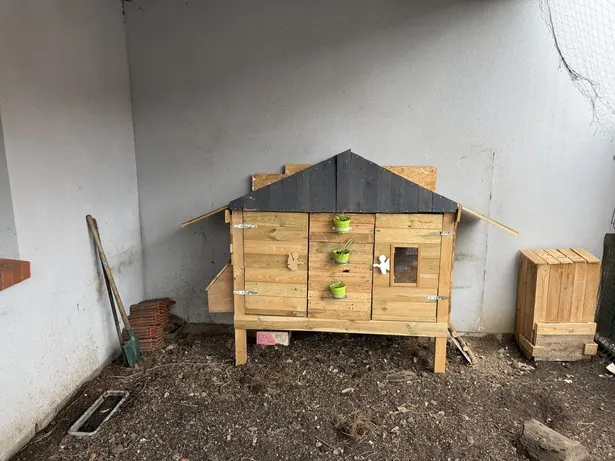 Le poulailler en bois du collège, installé dans un coin de la cour.